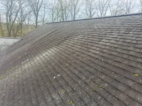 Black algae streaks, before in Winchester VA by Thompson's Pressure Washing