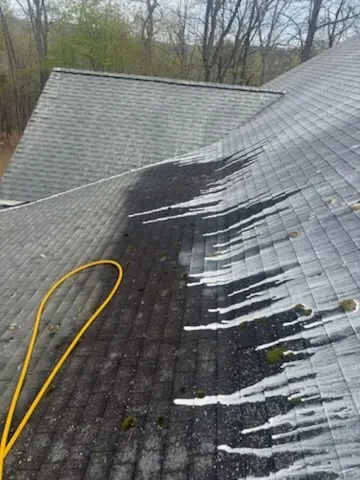 Roof rejuvenation treatment being applied in Martinsburg WV by Thompson's Pressure Washing