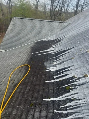 Treatment running down the shingles by Thompson's Pressure Washing