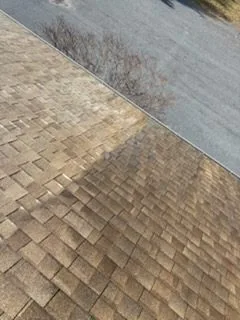 Visible line between treated and untreated shingles in Martinsburg WV by Thompson's Pressure Washing