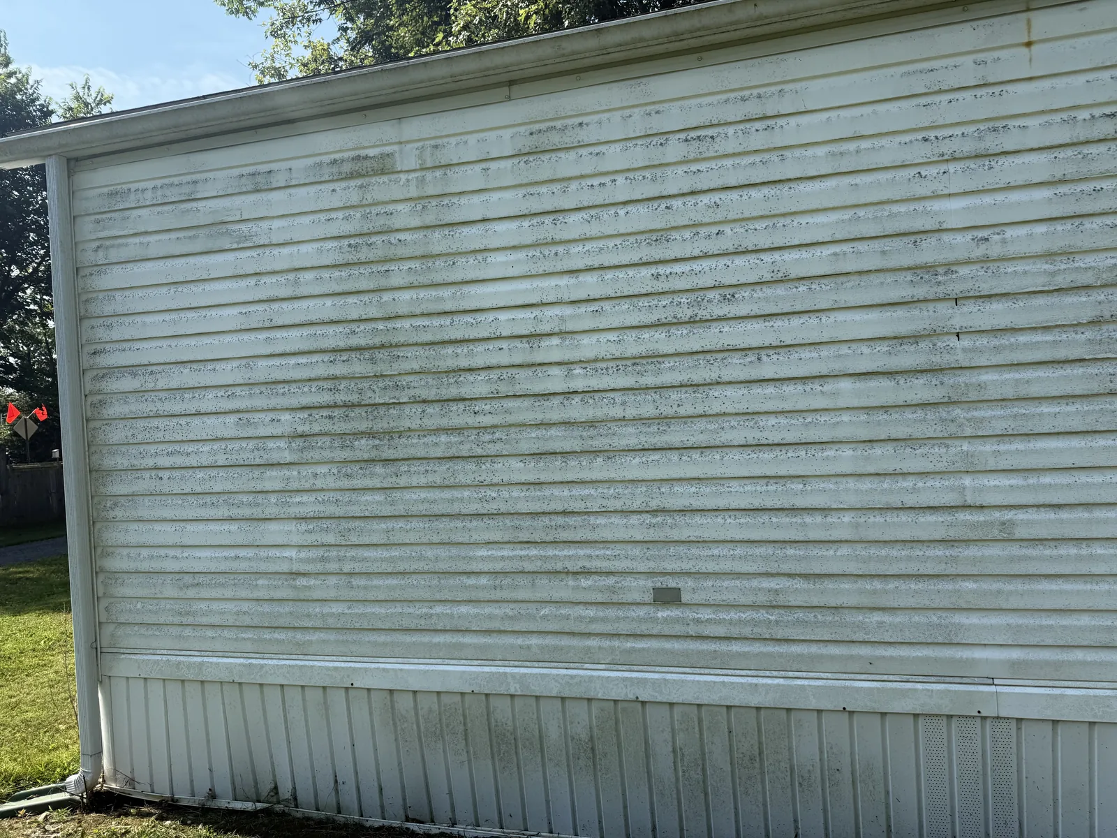 Green algae on white siding, before in Winchester VA by Thompson's Pressure Washing
